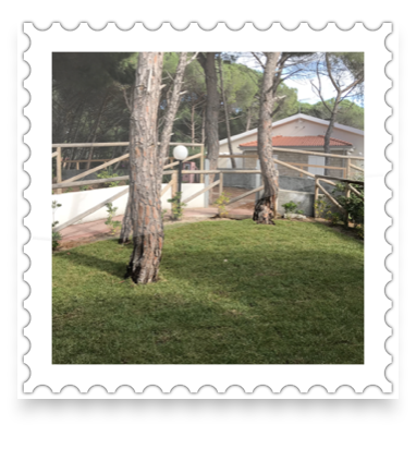 collage image title